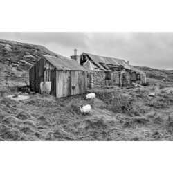 Diane Le Count - Abandoned Croft (20)