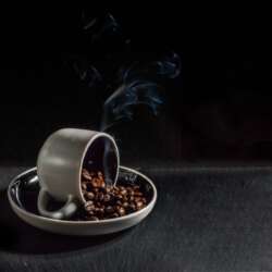 Mark Seton - Java Hot Coffee (18)