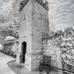 Neil Adkins - High Tower, Black Chair. (18)