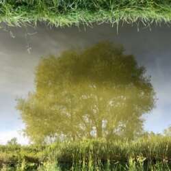 Abbi Blakey Playing with Reflections (Beginners 18)