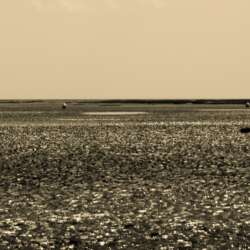 Alan Blake All That Glitters isn't gold (Beginners 20)