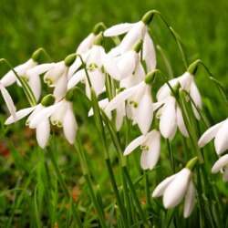 Liz Nicholson After The Shower (Beginners 19)