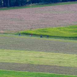 Peter Allen Cycle Path (Beginners 19)