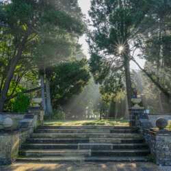 Stephanie Stephenson Winter Sun (Open 20)