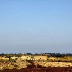 The Red Hut at Rye (Beginners 19)
