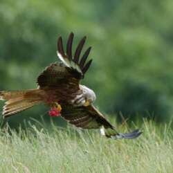 Got it by Peter Turner