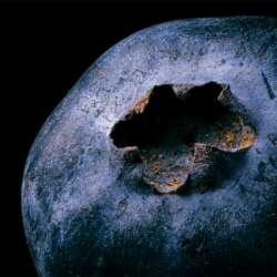 Planet blueberry by Fabio Chiti