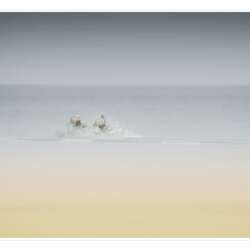 Holkham Beach Morning Ride by David Stevens