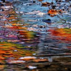 Graffiti Puddle by Lynn Saunders