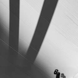 Why me by Steve Page