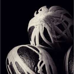 Mace-web by Fabio Chiti