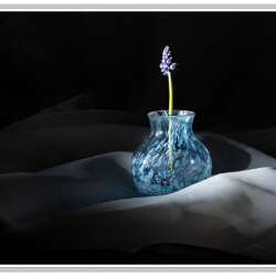 Flower by John Smith