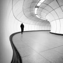 The Elizabeth Line by Sophia Spurgin