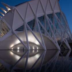 Morning walk by Steve Page