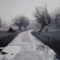 Moody Hatfield Forest Zoe Hannan