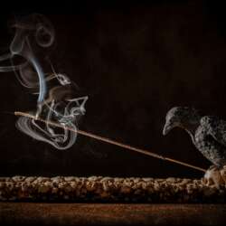 Road to hell by John Smith