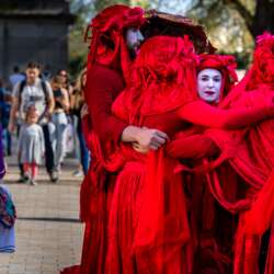 The Face by Nigel Jarvis