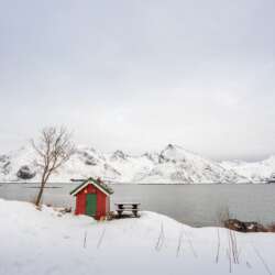 Cold by Sophia Spurgin