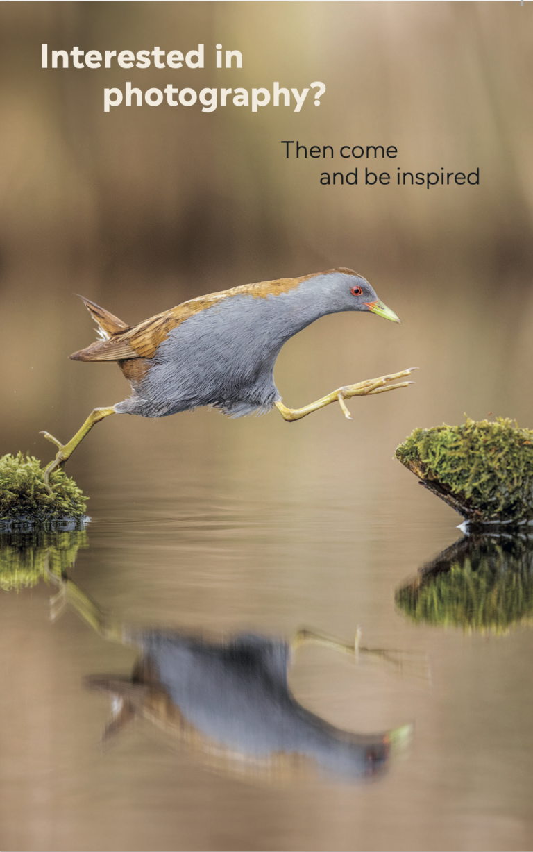 Programme 25/26 front image